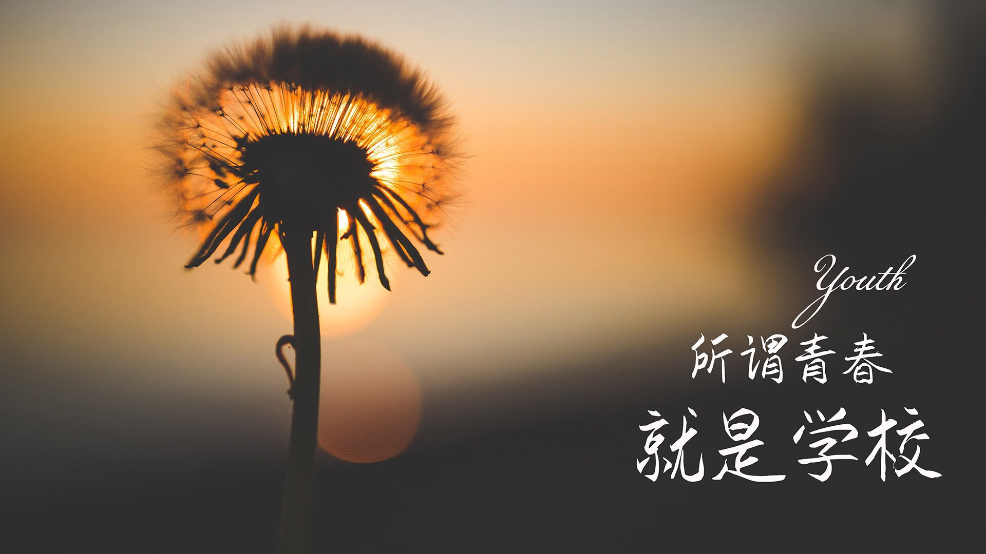 《电竞经济新动力：虚拟商品与周边市场火爆》，电竞经济泛娱乐浪潮下的市场风口