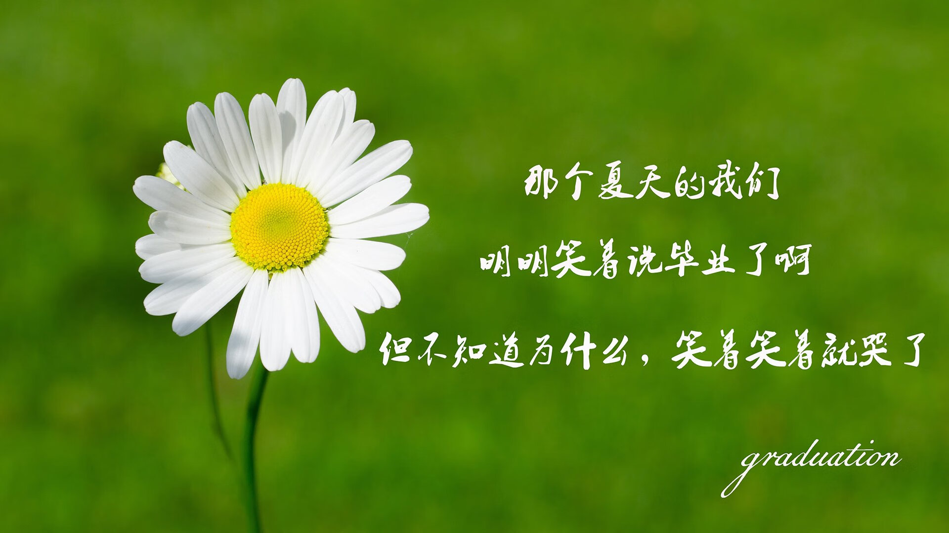 吉达联合主场爆满堪比欧冠气氛，吉达百科