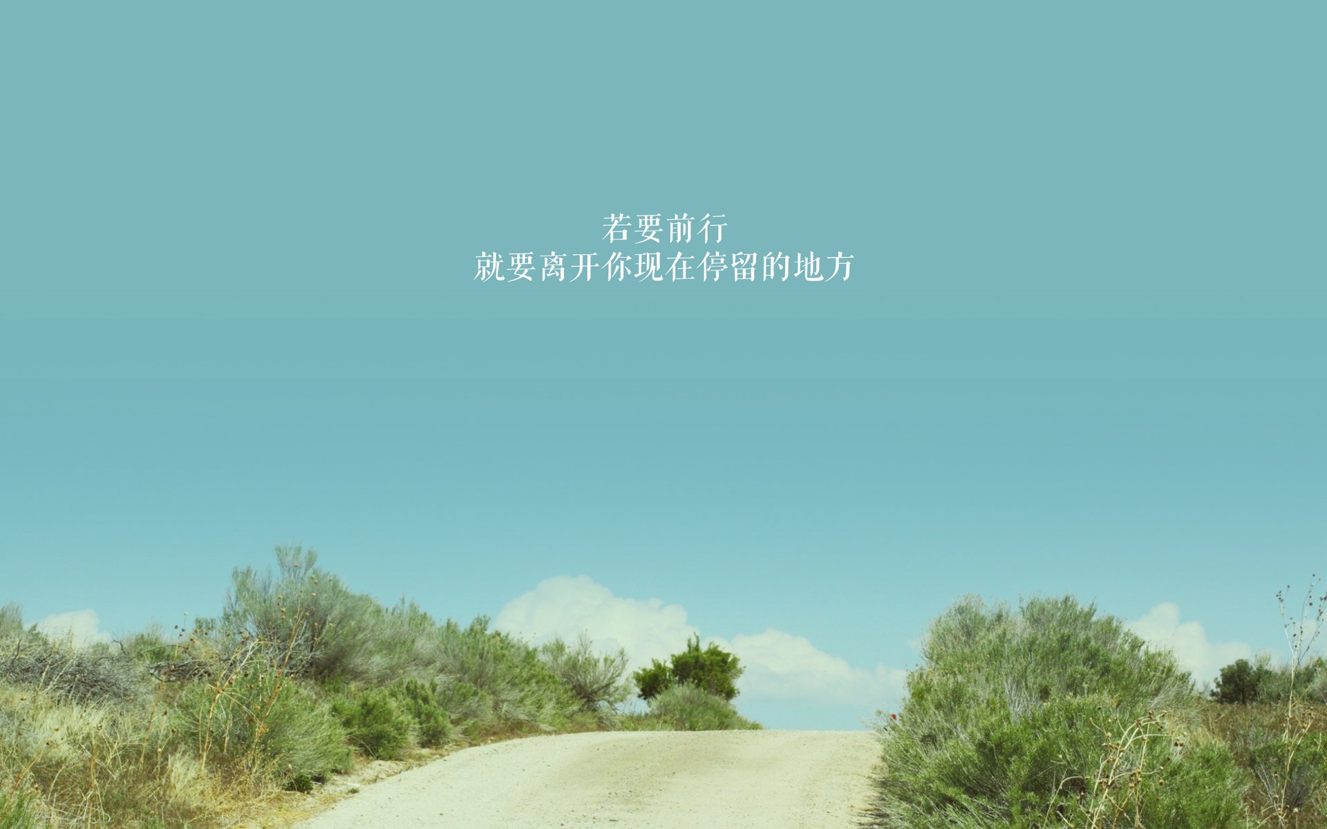 哥伦比亚国家队换帅，新教练着手备战韩国友谊赛，哥伦比亚队员