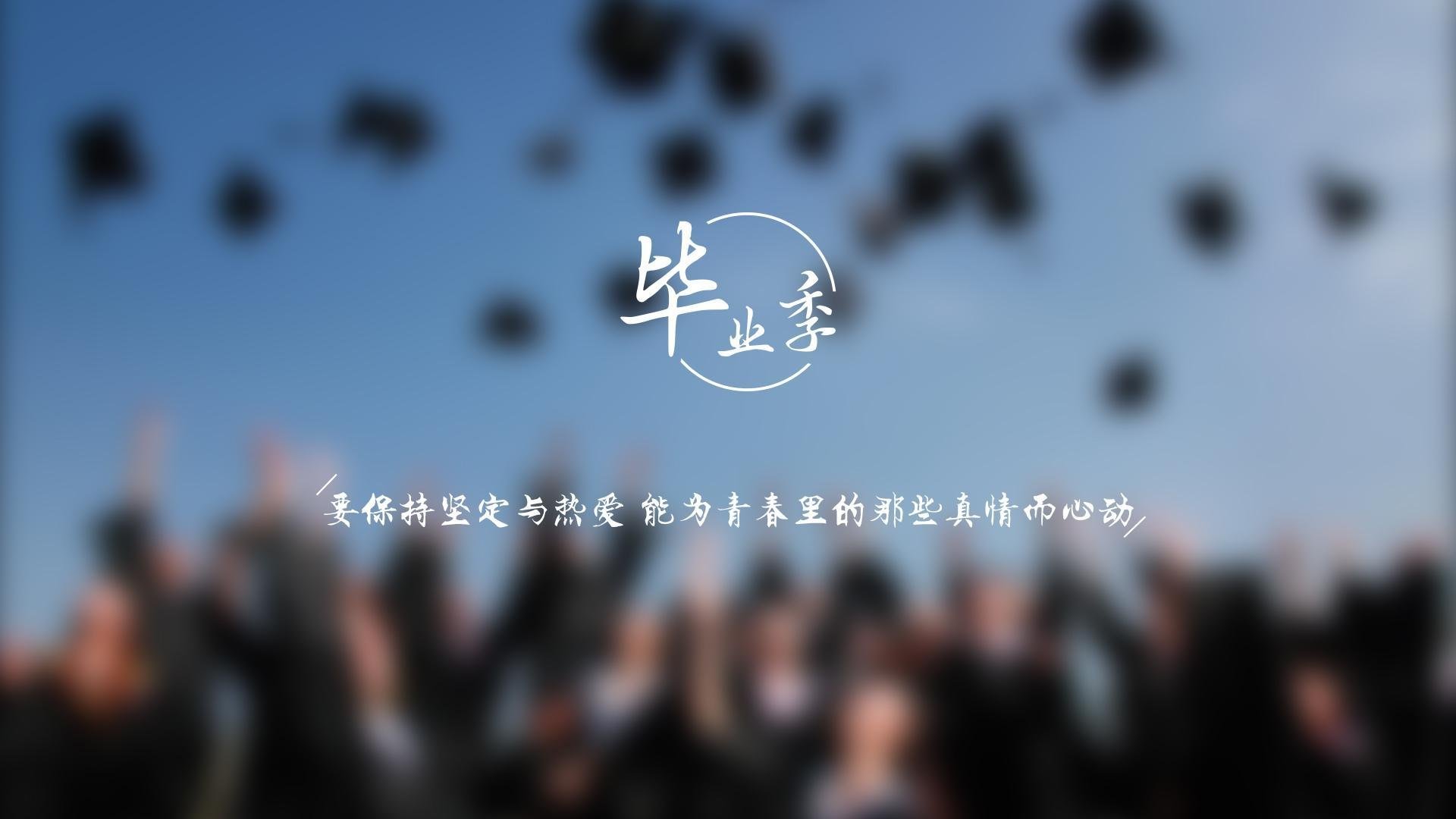 森林狼球员被授予月度最佳表现奖项 实至名归，森林狼球队名单