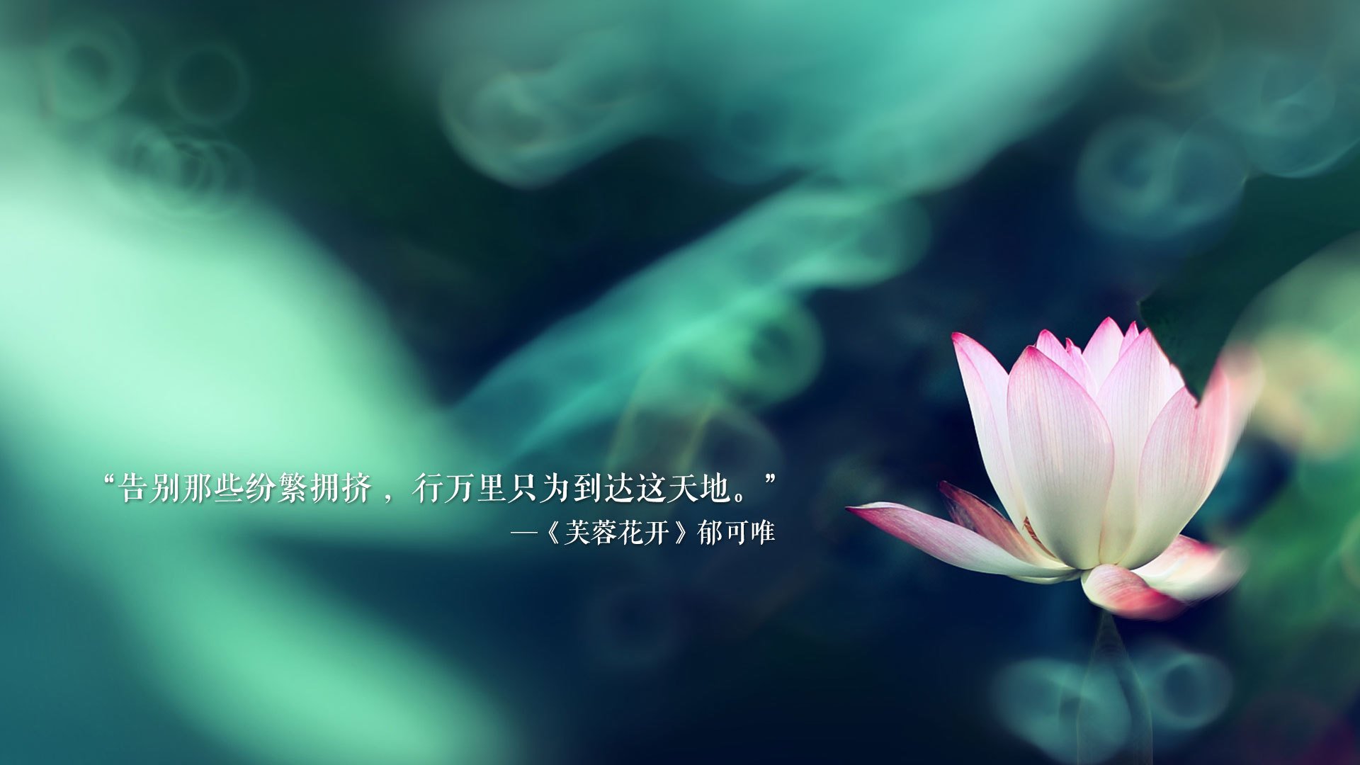 场馆运维平台实现全天候智能监控，场馆运营系统