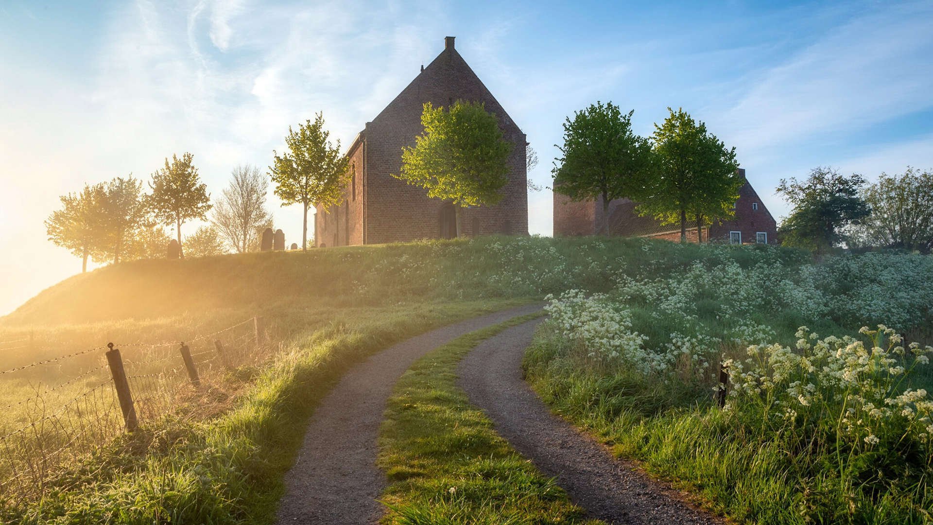 全国篮球特长生升学政策优化为体育人才提供发展空间,篮球特长生高考考什么怎么报名