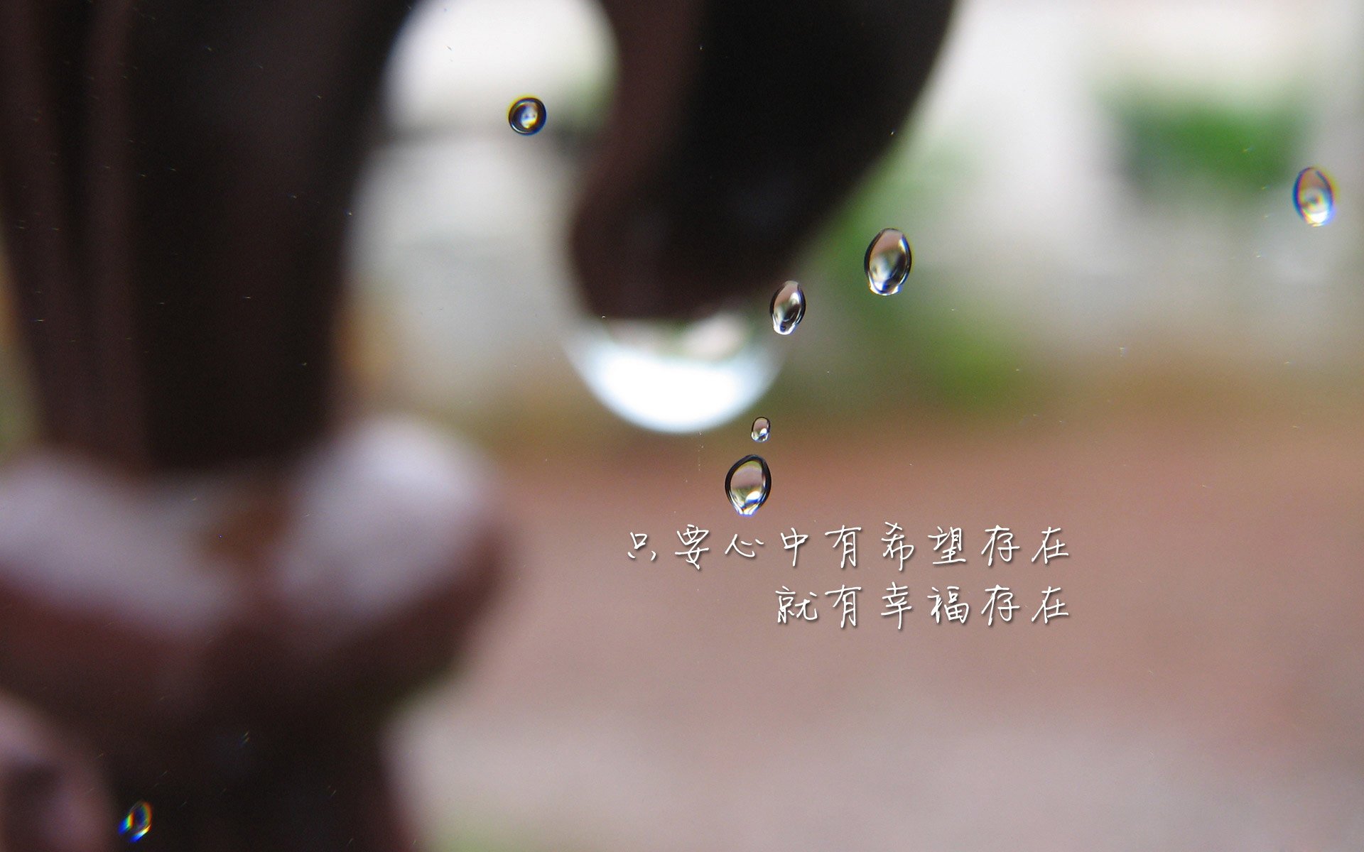 皮特·斯图斯领衔南非防线，带领羚羊队冲击冠军