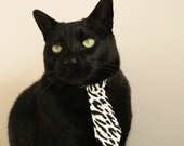 胡贝特·科斯后程爆发力震撼全场,胡安·贝坦科特现状