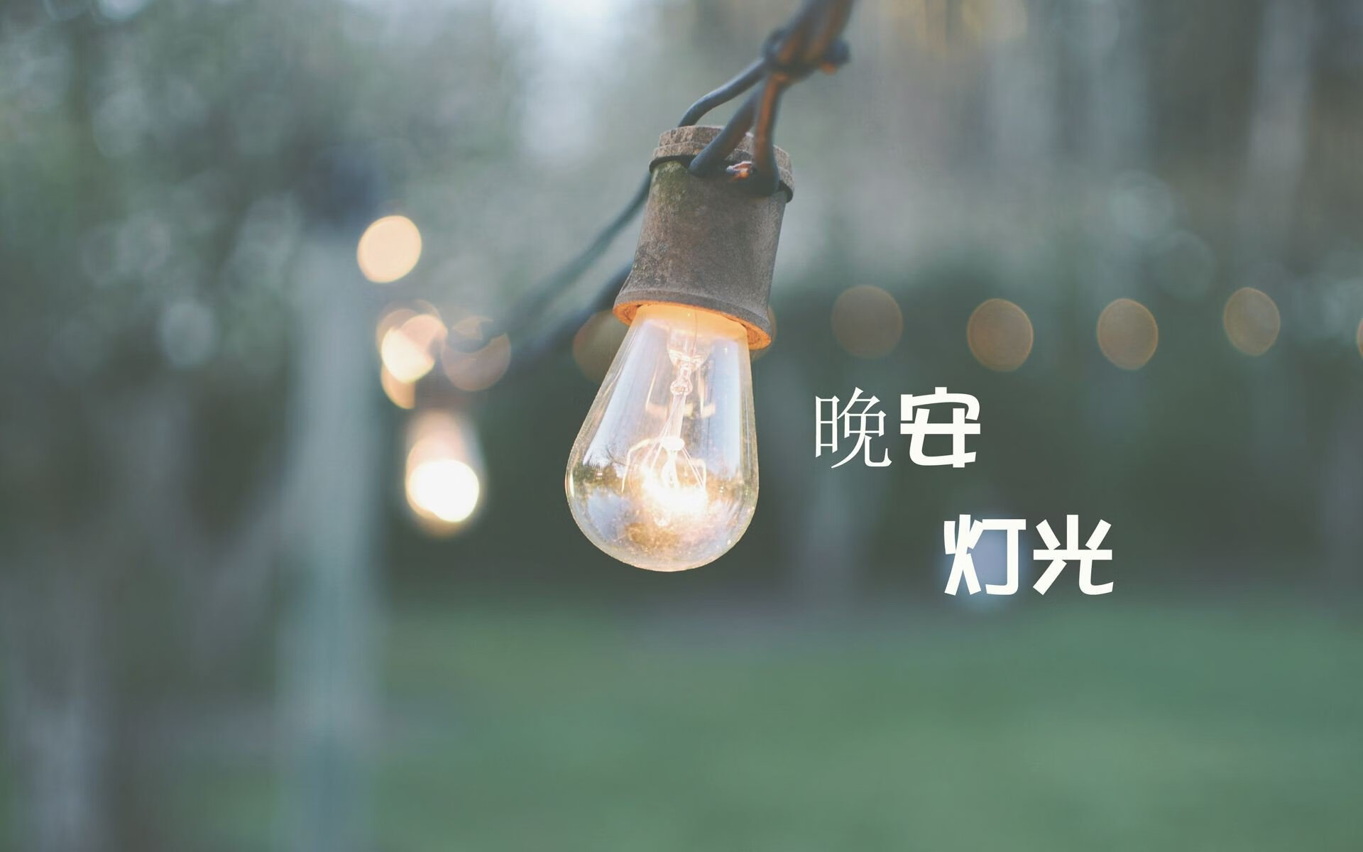 自由泳项目荷兰男将展现速度，荷兰弟游泳