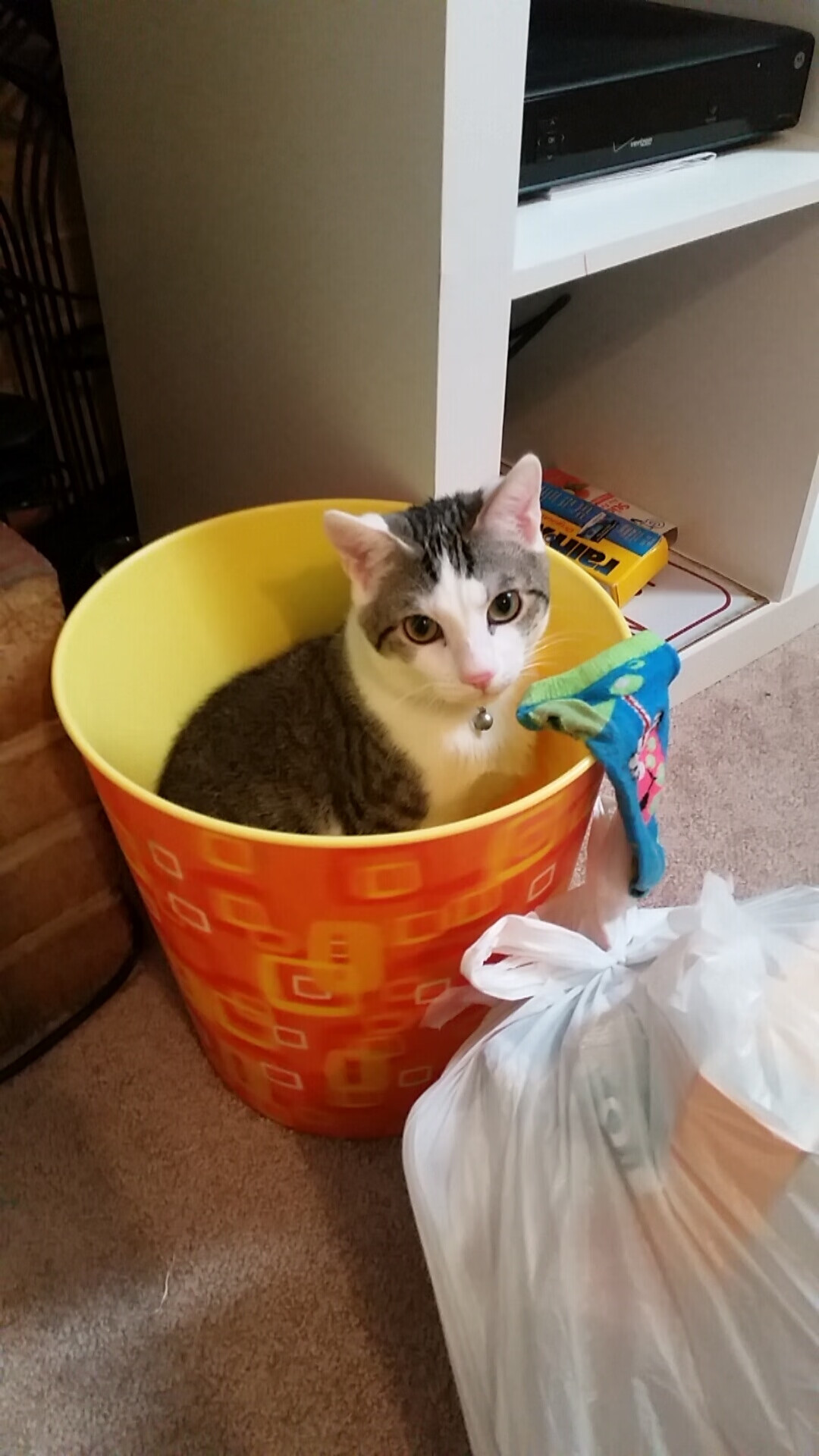 华体会平台娱乐-青训营开展团队合作训练强化配合意识，团队合作训练的内容与目的