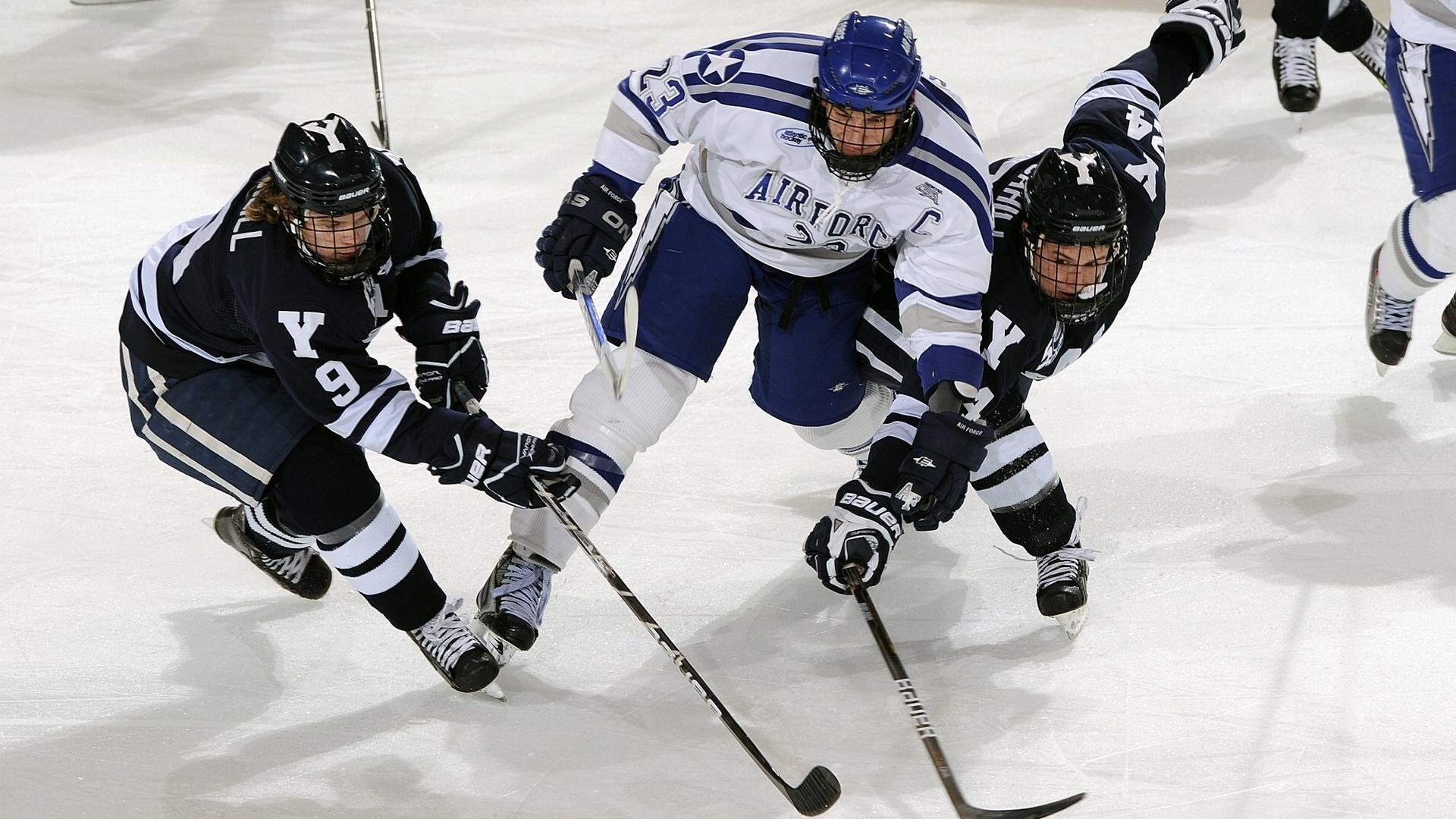 球迷投票：想象中“理想”NBA阵容